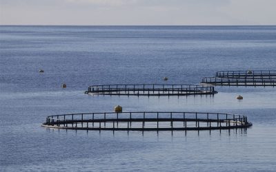 Parc aquacole Pointe Noire