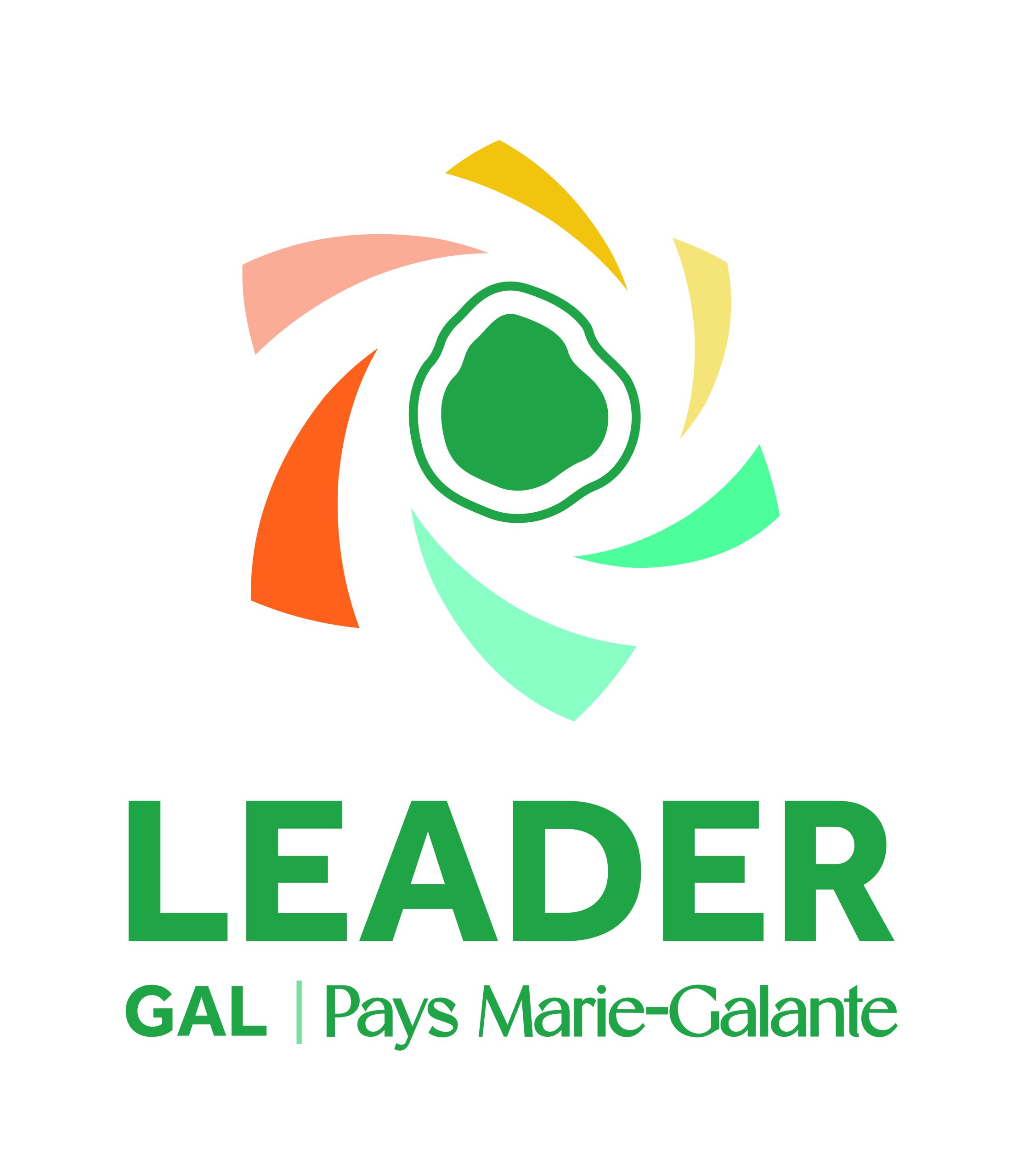 Logo_LEADER_Vertical_RVB